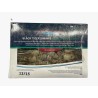 Crevetten 13/15 ganz 1Kg